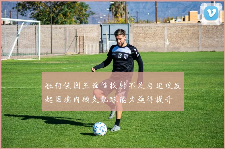 独行侠国王面临投射不足与进攻发起困境内线支配球能力亟待提升